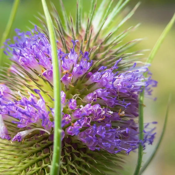贝博体育棋牌游戏